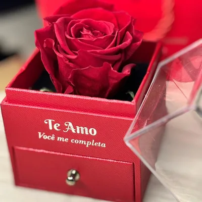 Rosa Eternizada Colar