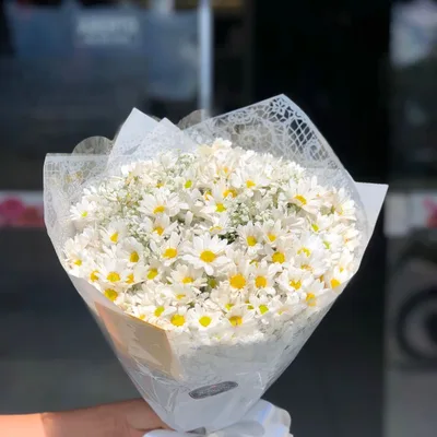 Buquê de Margaridas Brancas