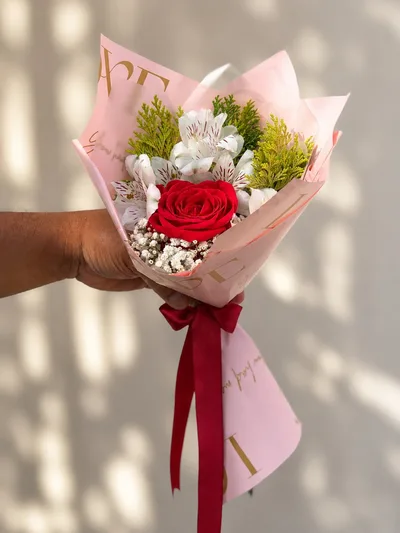 Rosa Momentos