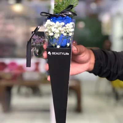 Rosa Luxury Azul