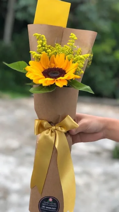 Girassol Unique