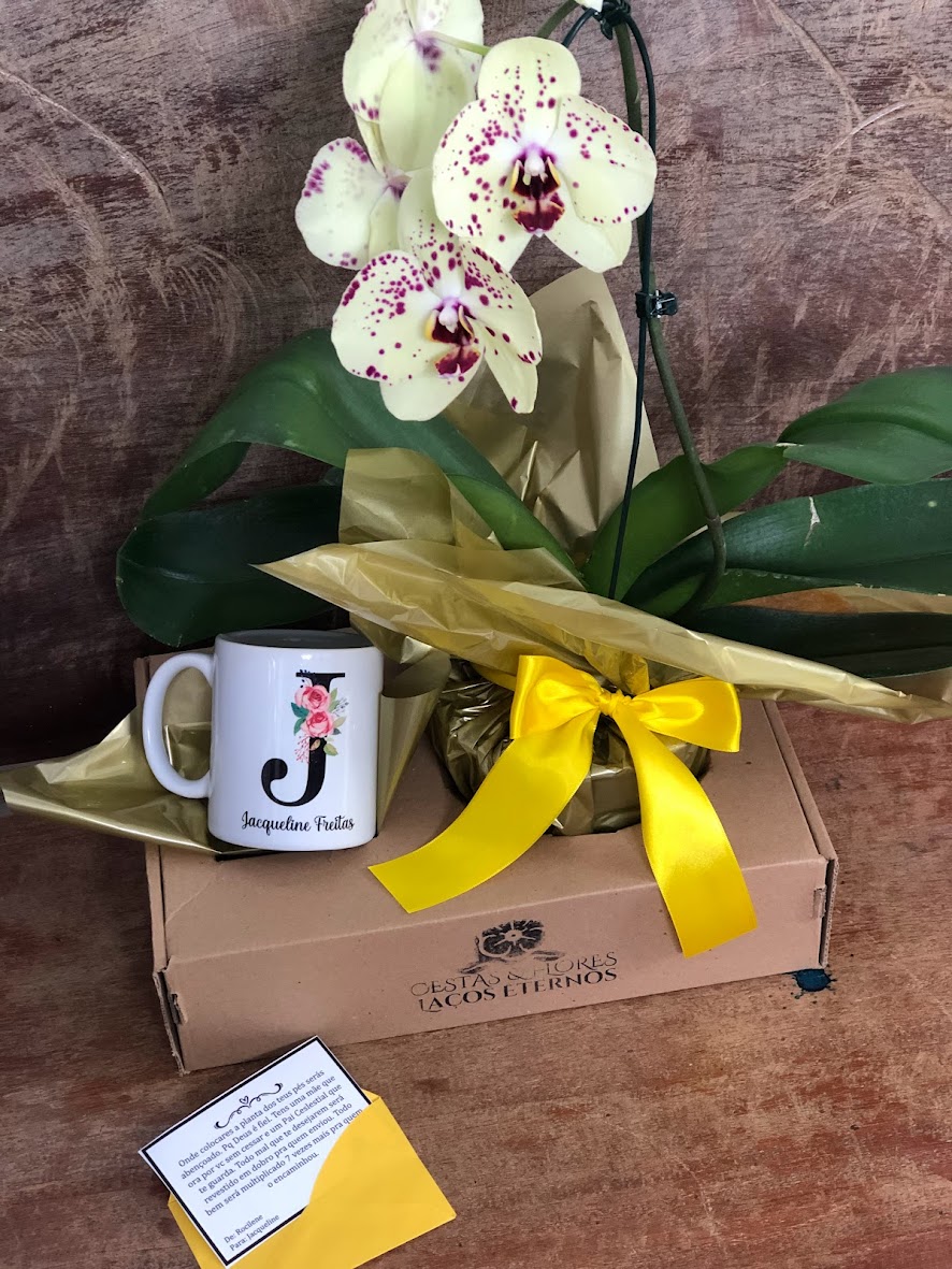 Orquídea com Caneca